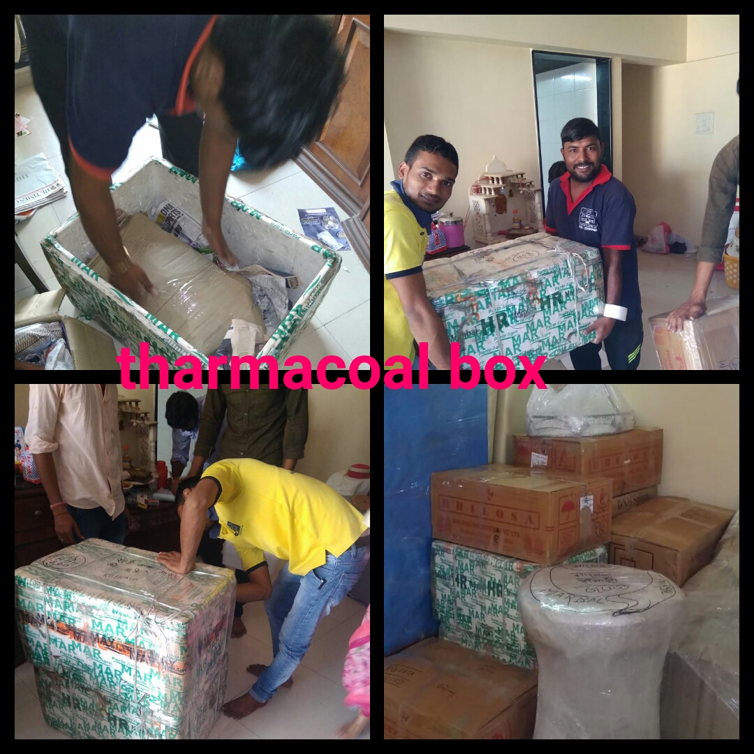 Max Packers And Movers - Tharmacoal Box